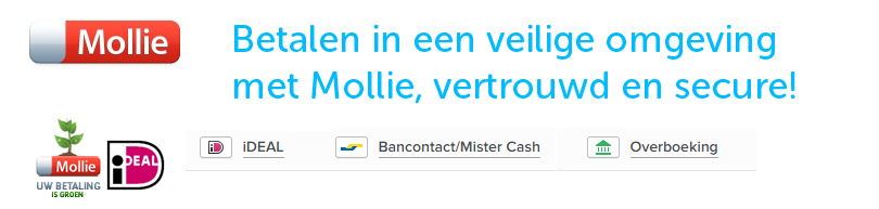 veilig betalen in webshop stylus pennen